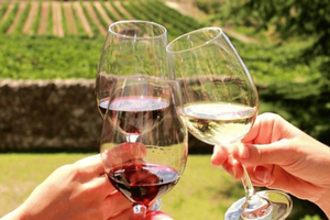 Stellenbosch: Half-Day Wine Tour