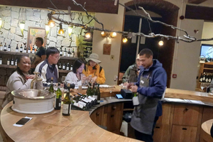 Stellenbosch, Paarl, and Franschhoek Wine Tour