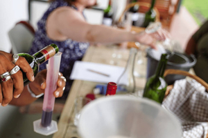 Stellenbosch: experiencia de mezcla de vinos con maridaje de barbacoa
