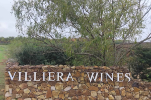 Città del Capo: tour vinicolo di 1 giorno a Stellenbosch