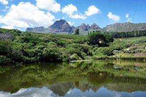 Stellenbosch: Wineries and Safari Tour with Wine Tasting