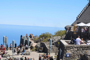 Table Mountain, Bo-Kaap, & Boulders Beach Tour