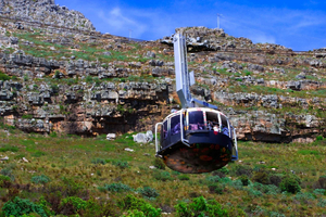 Table Mountain, Cape Point, and Penguins Group Tour