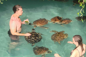 Zanzibar: Grotta di Salaam, Foresta di Jozani e The Rock Restaurant