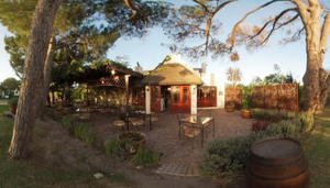 96 Winery Road