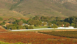 Allesverloren Wine Estate