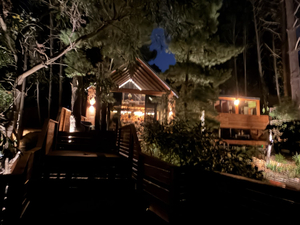 Amara Moon Yoga and Private Wellness Retreat