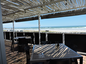 Cafe Orca