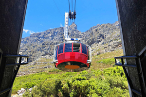 Springtime Wine Tasting in Cape Town's Winelands