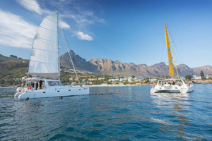 Cape Town's Winter Arts and Culture Scene: Don't Miss It