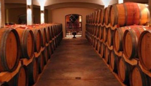 Dieu Donné Vineyards
