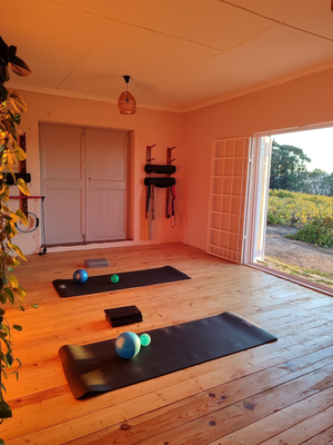 Erin Knight Wellness