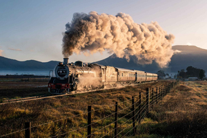 Fra Damptogbillet til Elgin Railway Market