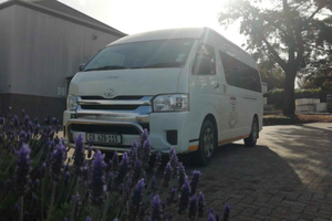 Cape Towns Beste Vinfremstillingsopplevelser for Sesongen
