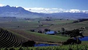 Jordan Wines
