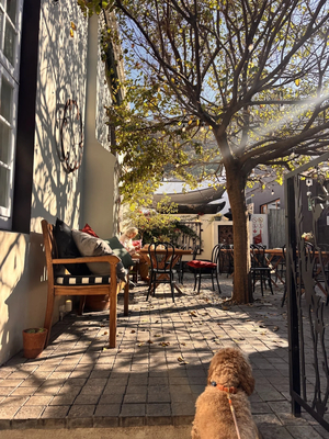Kalk Bay Courtyard