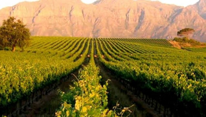 Kleine Zalze