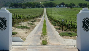 Seidelberg Wine Estate