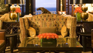 The Leopard Bar