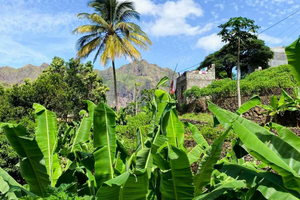 Fra Praia: Vandretur i Principal-dalen og afslapning på Tarrafal-stranden