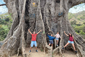 From Praia: Transfer Tour to Tarrafal with Local Fruit Tasting