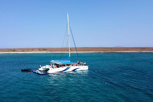 Sal: Crucero en catamarán de medio día con todo incluido