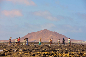 Sal Island Full-Day Tour + Lunch, Tickets and Skip-the-Line