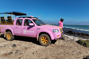 Sal: Island tour with offroad touch and creative pictures