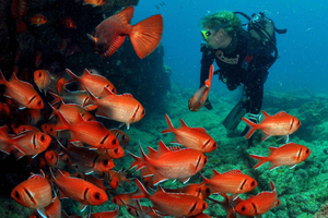 Santa María: Descubre el submarinismo