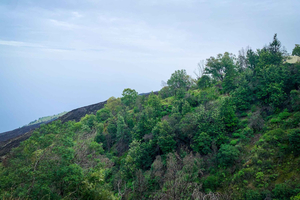 Sao Filipe: Coffee Plantation and Natural Pools Day Trip