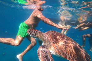 São Vicente: Snorkling med skilpadder Fantastisk opplevelse