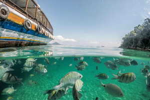 Tarrafal: Boat Trip with Snorkeling