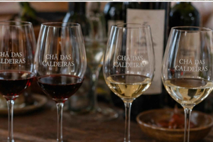 Wine tasting at local wineries in Fogo, Cape Verde