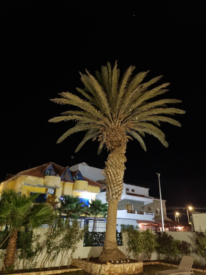 Hotel Sobrado