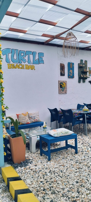 Turtle Beach Bar - São Pedro