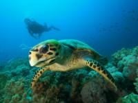Boa Vista