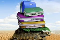 What to Pack 
