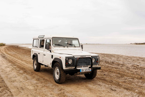 Aigues Mortes 3 ore: Alla scoperta della Camargue segreta in 4x4