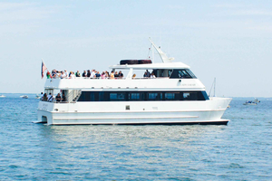 Annapolis: Kryssning tur och retur till St. Michaels