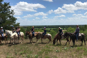 Austin: Maverick Horsemanship Trail Ride