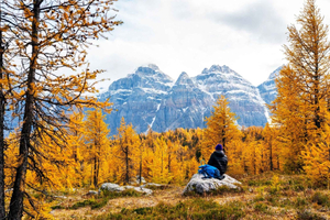 Banff/Canmore: navetta Larch Valley & Moraine Lake andata e ritorno
