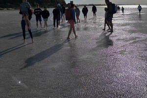 Baie du Mont Saint-Michel : Promenade autour du Mont et sables mouvants