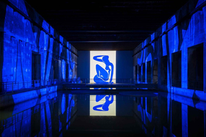 Bordeaux: Bassins des Lumières Biglietto Matisse