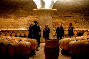 Bordeaux: St-Emilion and Medoc Wine Day Tour with Lunch