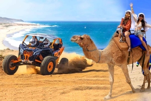 Cabo San Lucas: Giro in cammello e avventura combinata con UTV fuoristrada