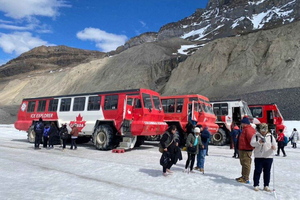 Calgary/Canmore/Banff: Columbia Icefield, Peyto, Bow Lake