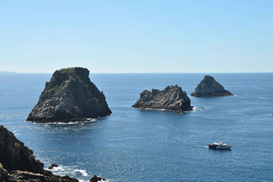 Camaret-sur-Mer: Sea ride to discover the Tas de Pois