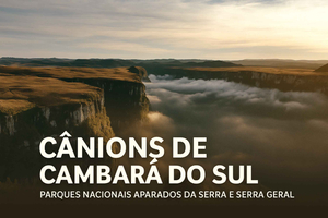Cambará do Sul/Canyons: Privat dagstur fra Porto Alegre