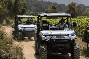 Cassis: Discover the AOC Cassis wineries by electric buggy, 1 hour & 2 hours