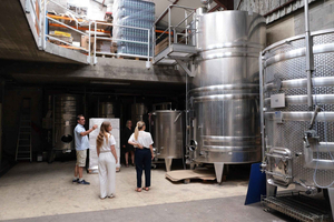 Chablis: Visit and tasting at a family-run boutique winery